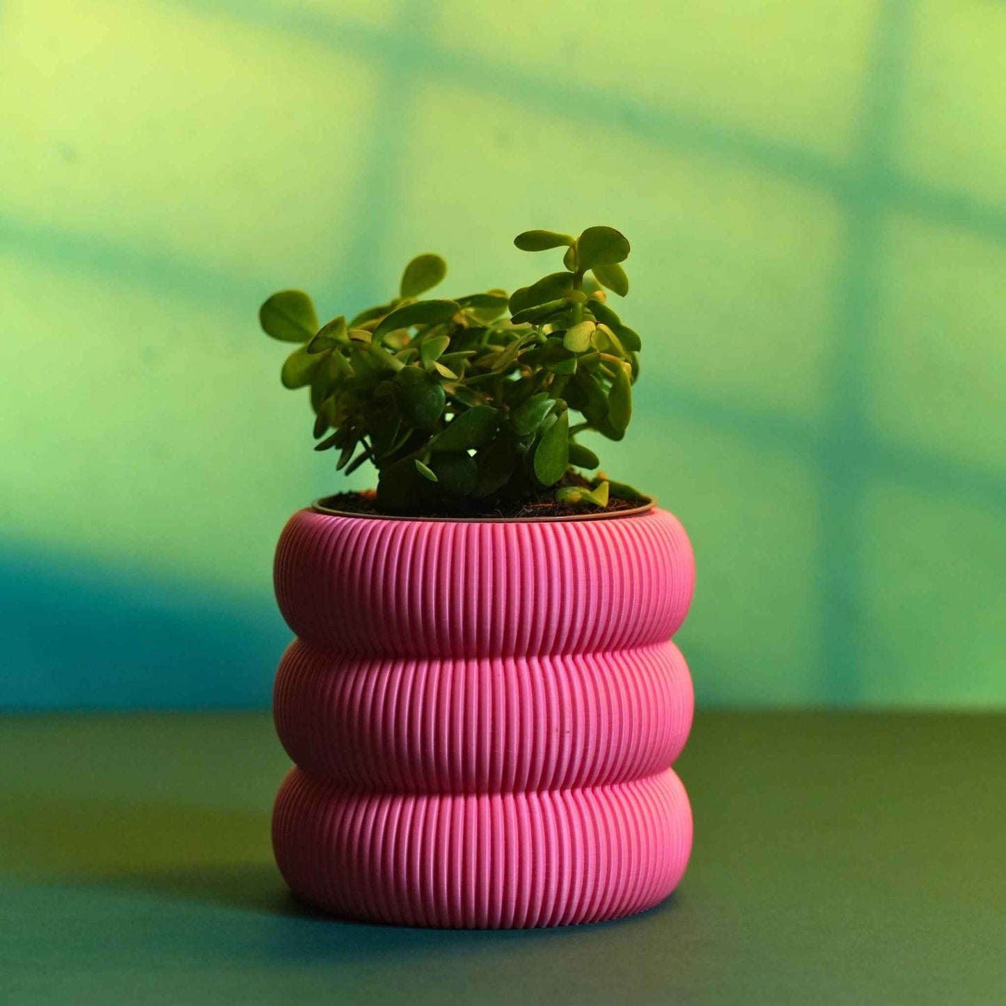 Ribbed Planter