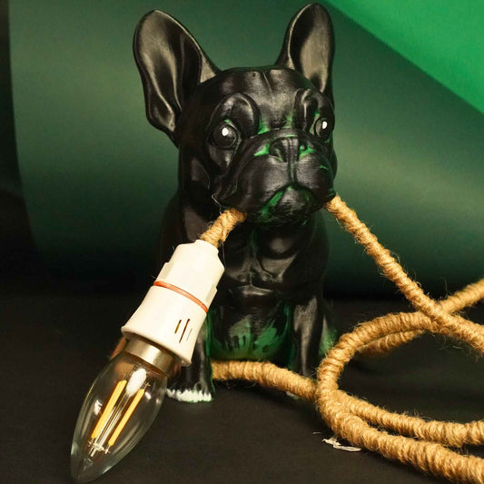 Roger Lamp