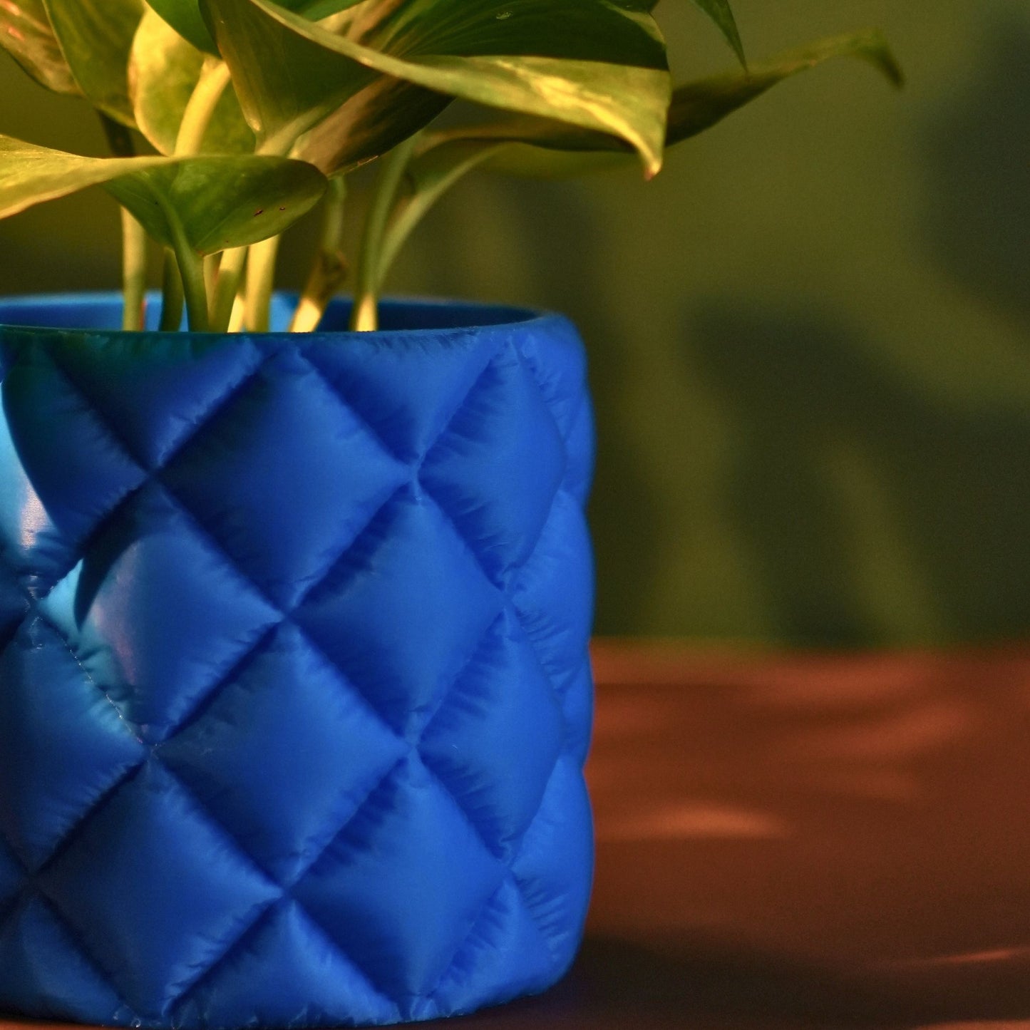 Cushion Planter