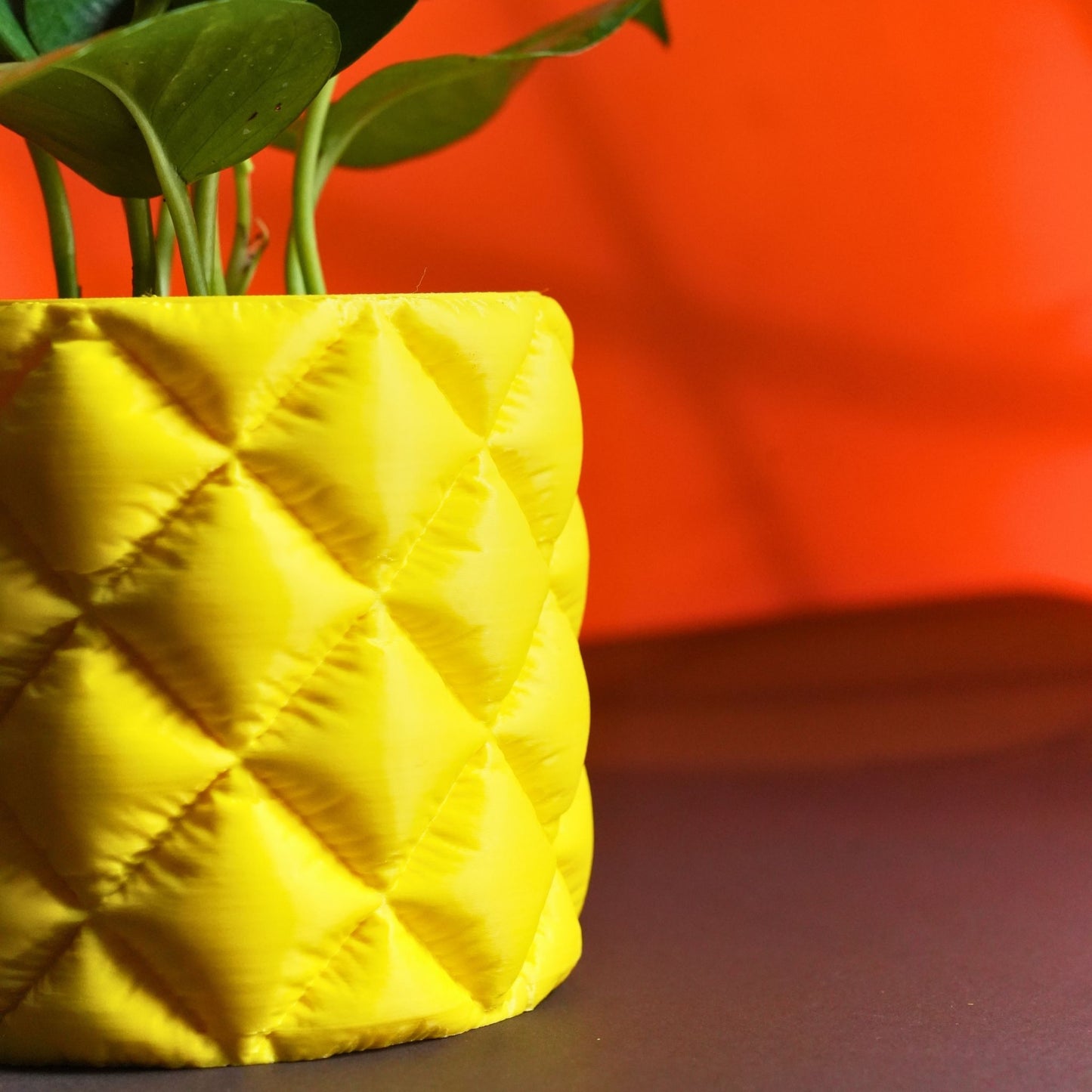 Cushion Planter