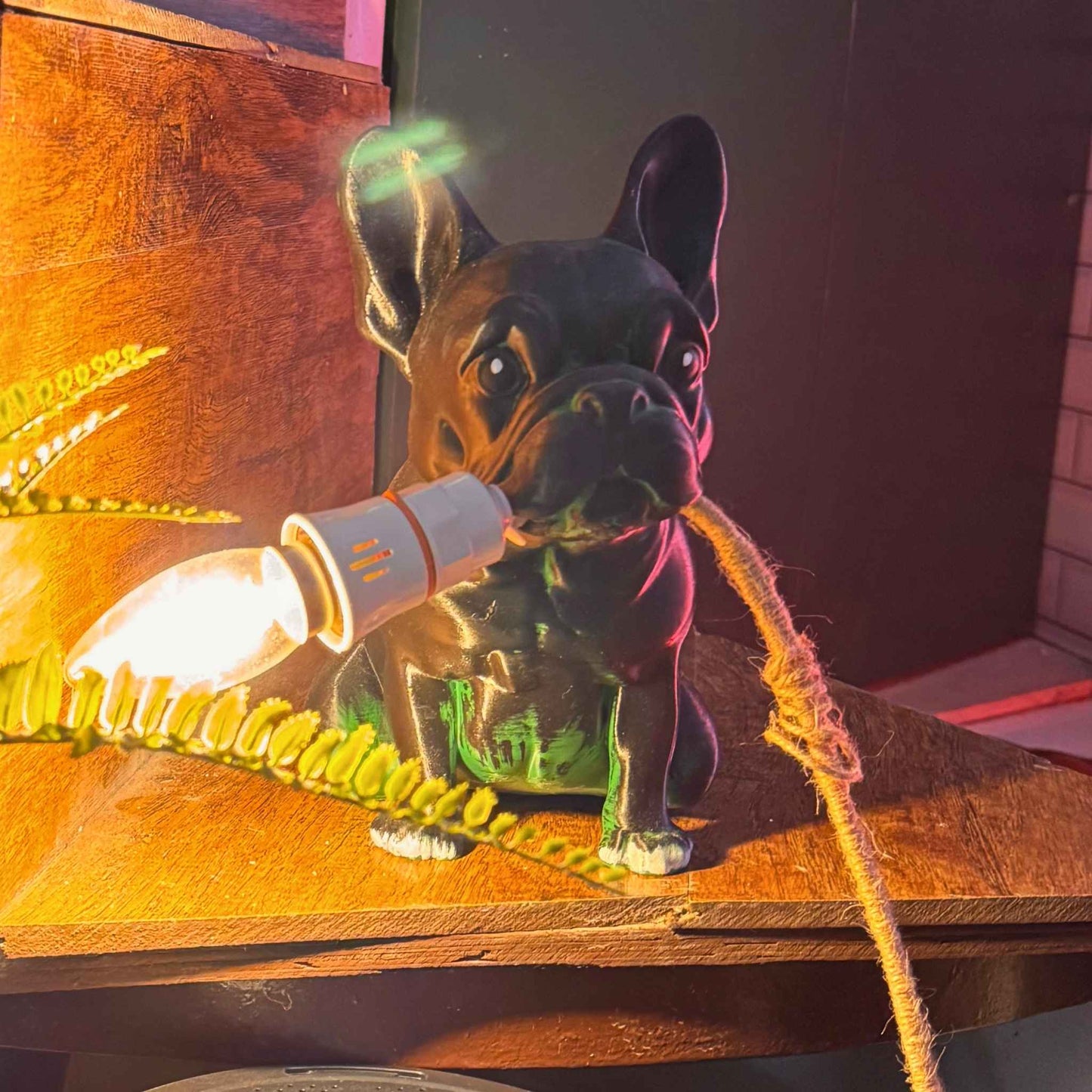 Roger Lamp