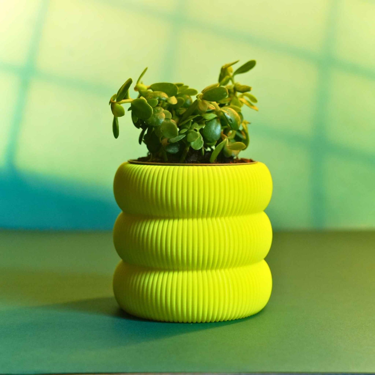 Ribbed Planter