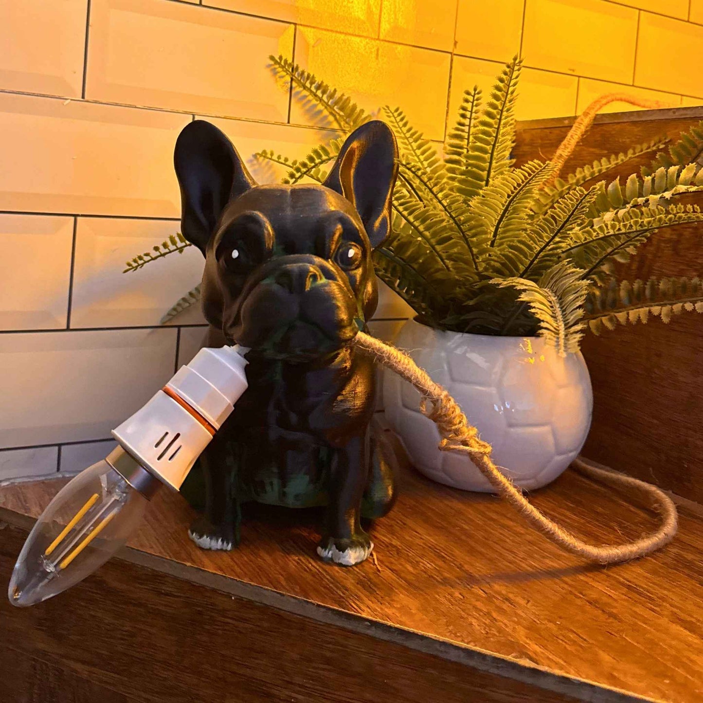 Roger Lamp