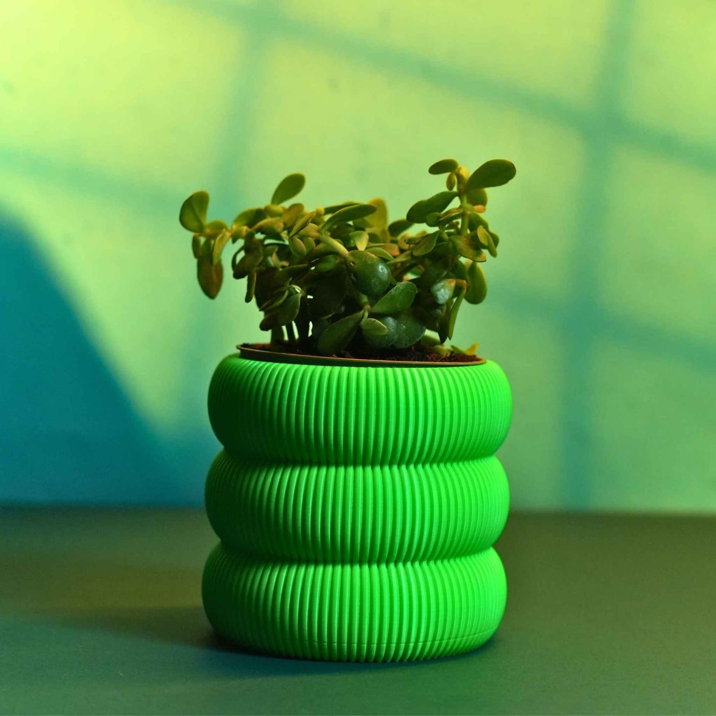 Ribbed Planter