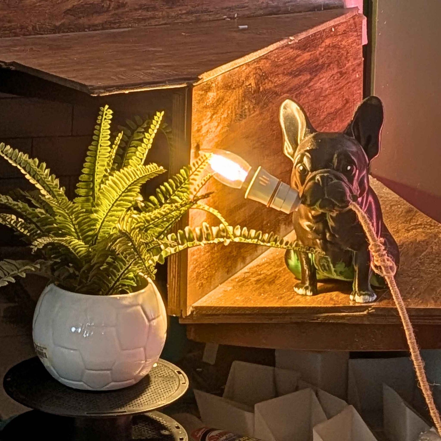 Roger Lamp