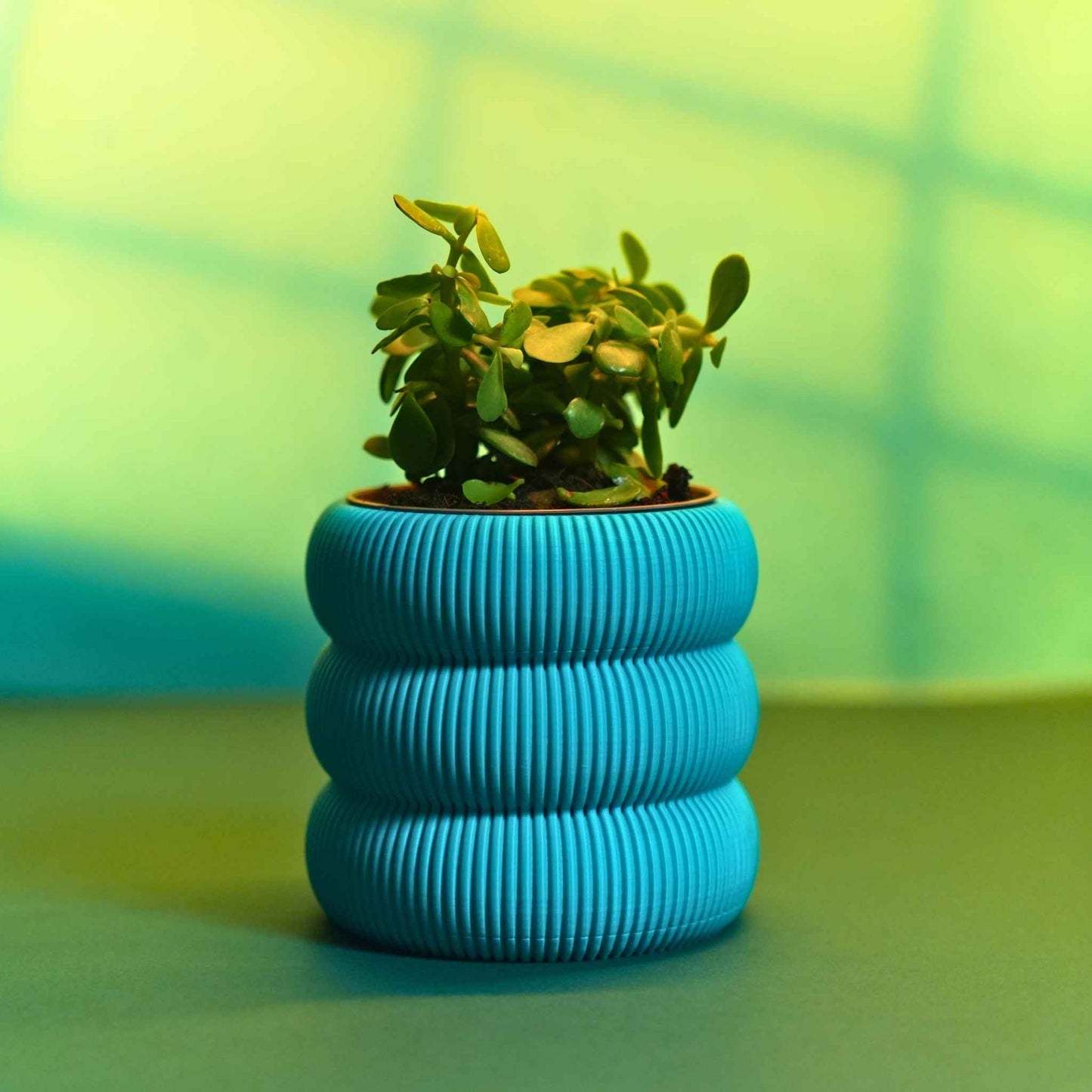 Ribbed Planter