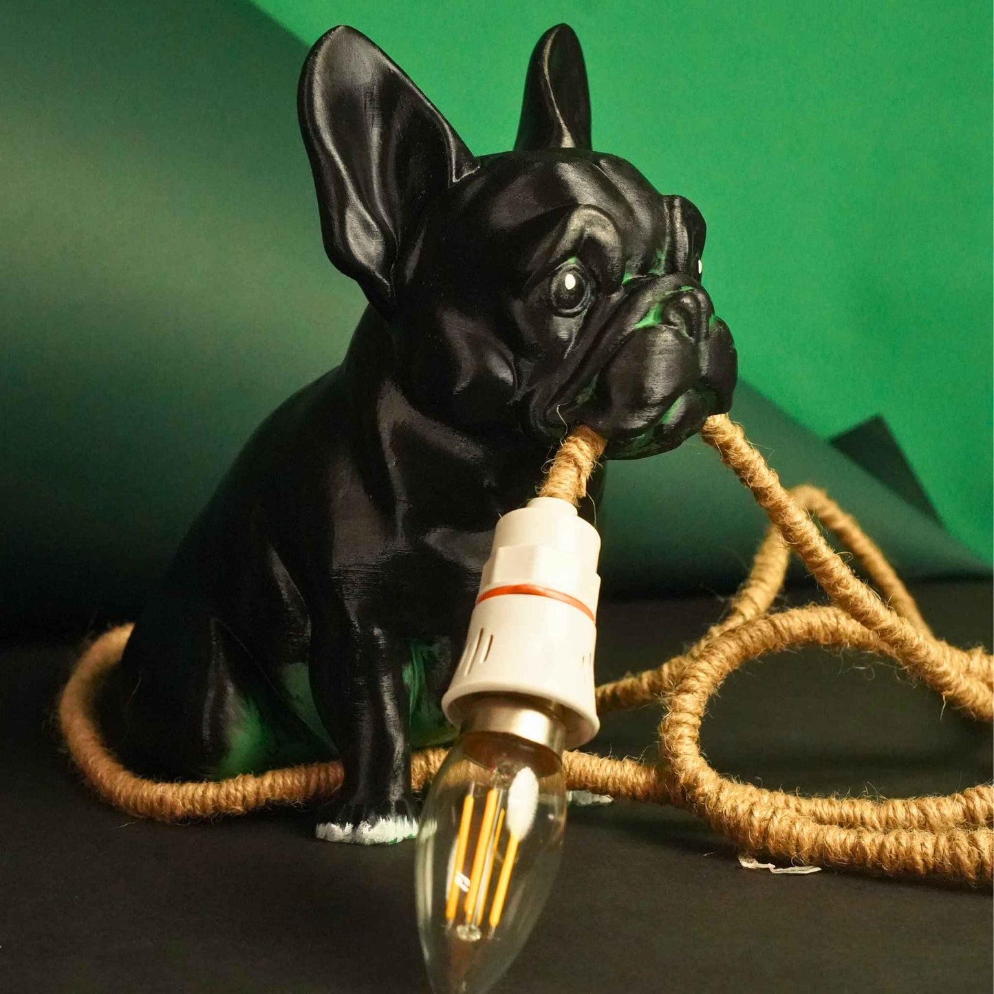 Roger Lamp