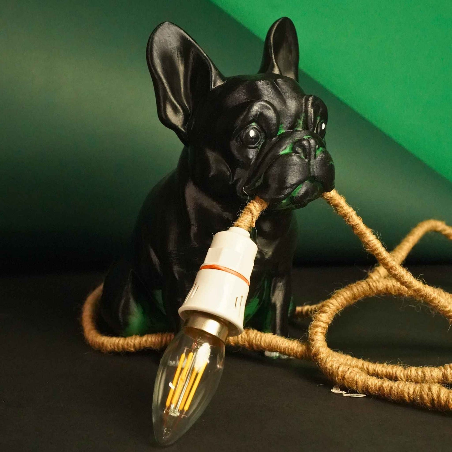 Roger Lamp